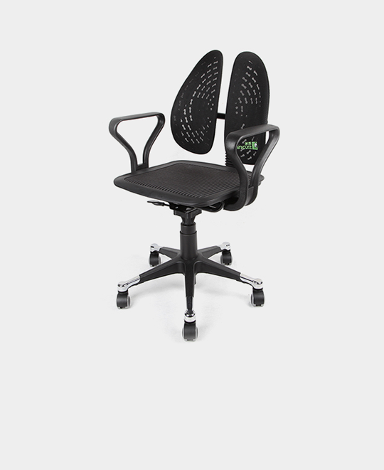 Ergonomic Executive Chair