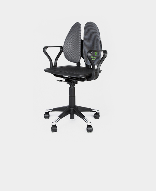 Ergonomic Air Support Chair
